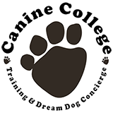 Canine College - Jupiter